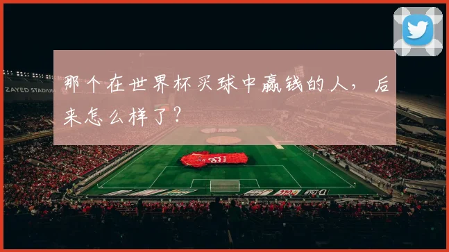 那个在世界杯买球中赢钱的人，后来怎么样了？
