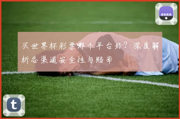 买世界杯彩票哪个平台好？深度解析各渠道安全性与赔率