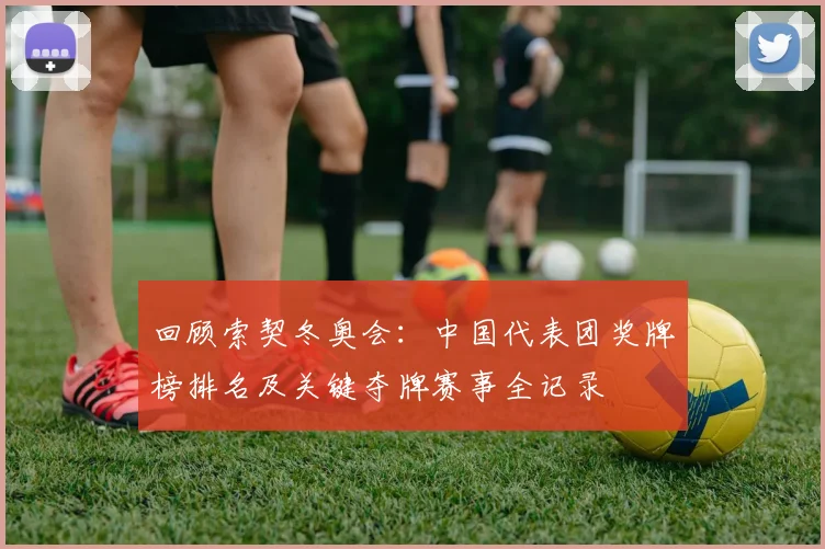 回顾索契冬奥会：中国代表团奖牌榜排名及关键夺牌赛事全记录