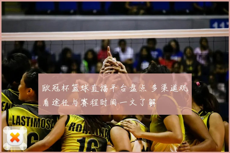 欧冠杯篮球直播平台盘点 多渠道观看途径与赛程时间一文了解